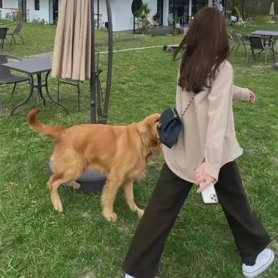 翘课义勇军